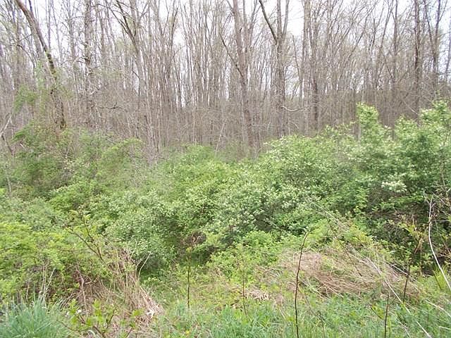 2nd image of Grassy Meadows Rd