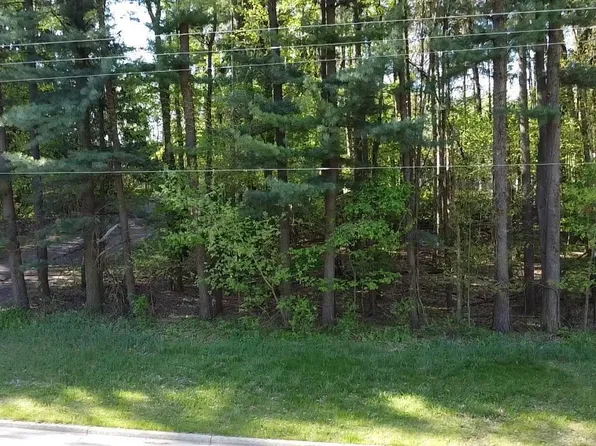 Parkwood Dr, Jonesville, MI 49250