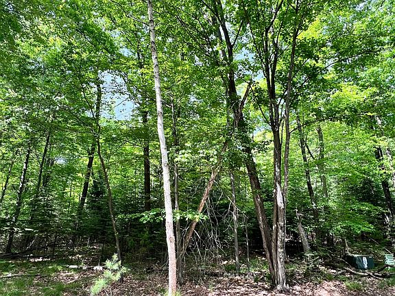 4th image of LOT 33 White Pine Loop