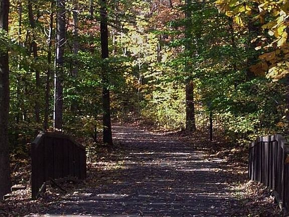 3rd image of 332 Dunbar Ln Lot 89