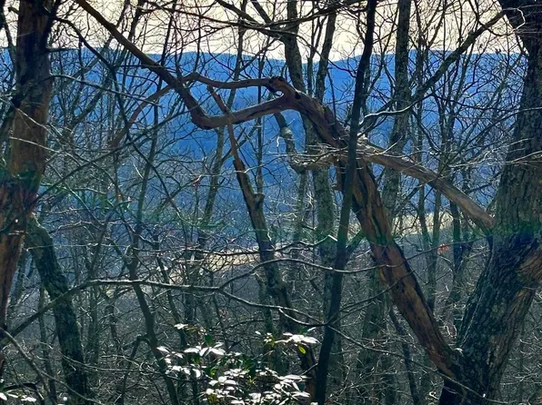Old Oak Ct Lot 30, Franklin, WV 26807