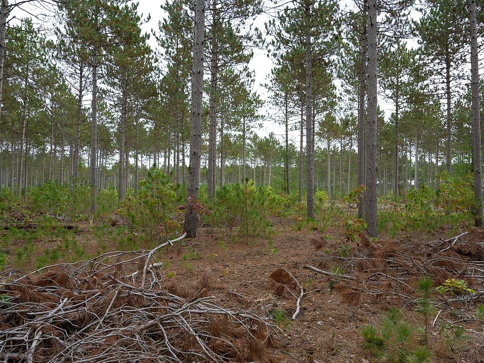 1st image of LOT 7 Bollig