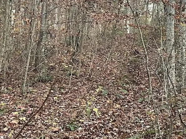 468 Horns Creek Rd, Old Fort, TN 37362