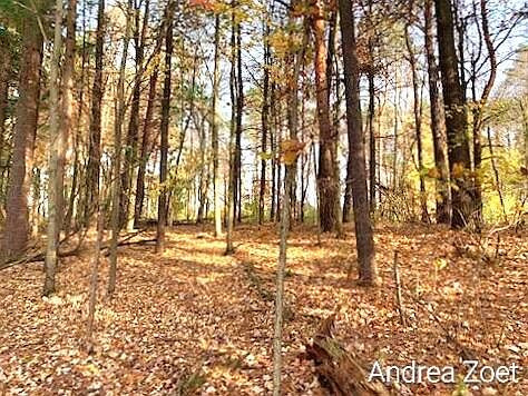 1st image of V/l 89 Pinehill Dr