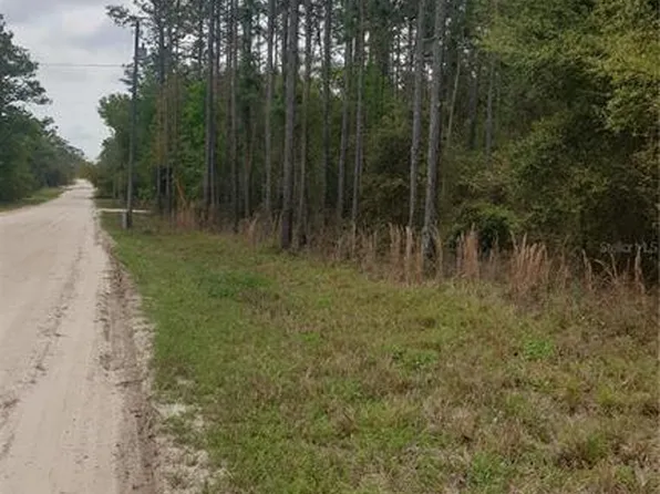 SE 25th St Lot 2, Morriston, FL 32668