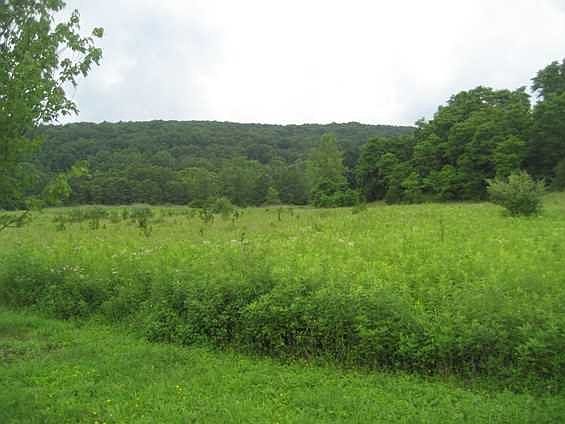 5th image of Overbrook Dr