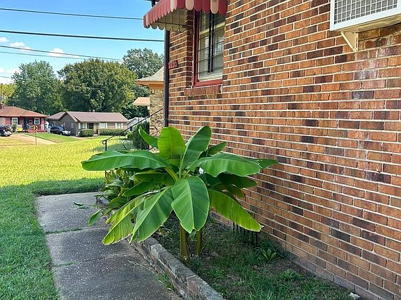 4th image of 775 Tampa Ave
