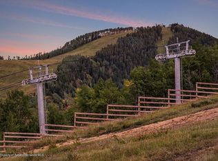 509 Oregon Trl, Aspen, CO 81611