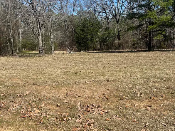 Silk Tree Rd, Gilmer, TX 75645