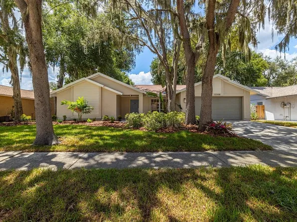 12308 Yellow Rose Cir, Riverview, FL 33569