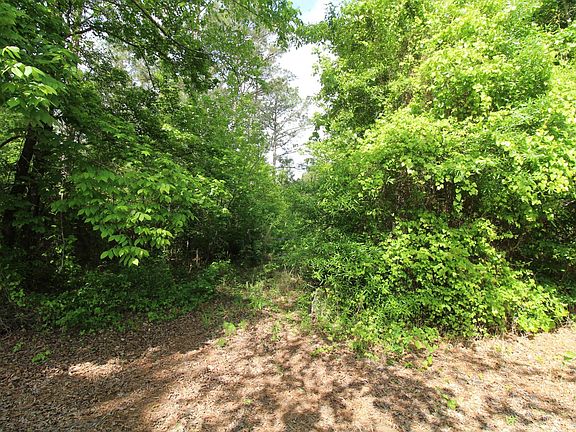 5th image of 2 Mott Rd
