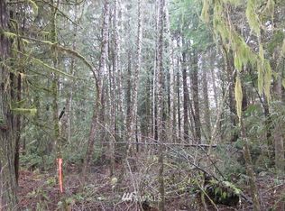 0 145th Avenue Ct E, Graham, WA 98338