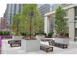 Rented by Town Residential