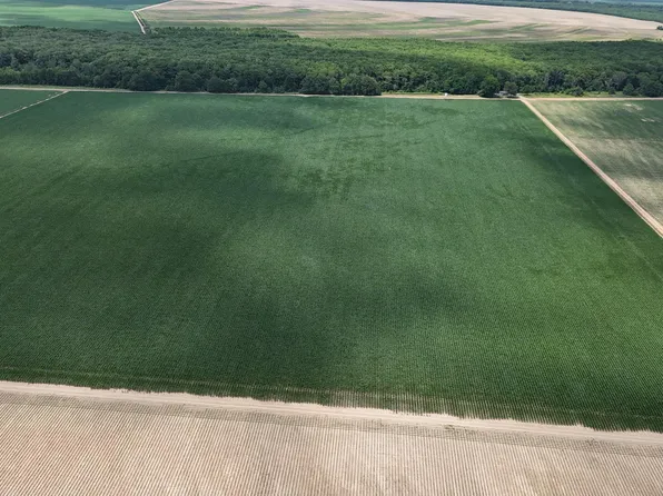 County Road 553, Morgan City, MS 38946