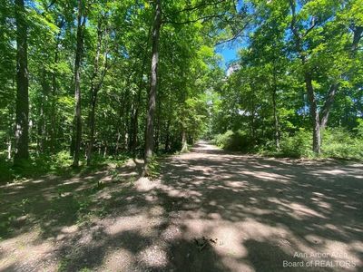 6350 Reinhard Dr, Dexter, MI, 48130