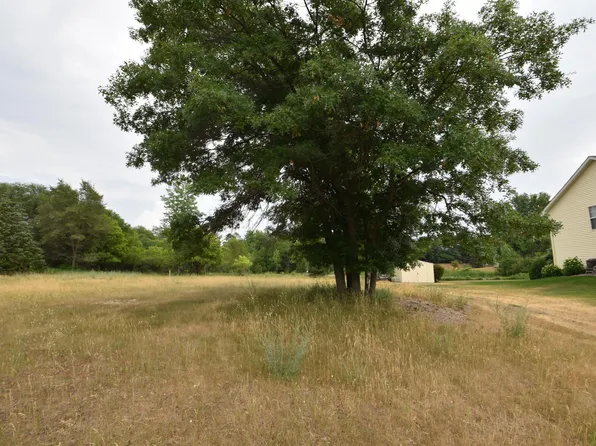 580 Woodduck Trl, Circle Pines, MN 55014