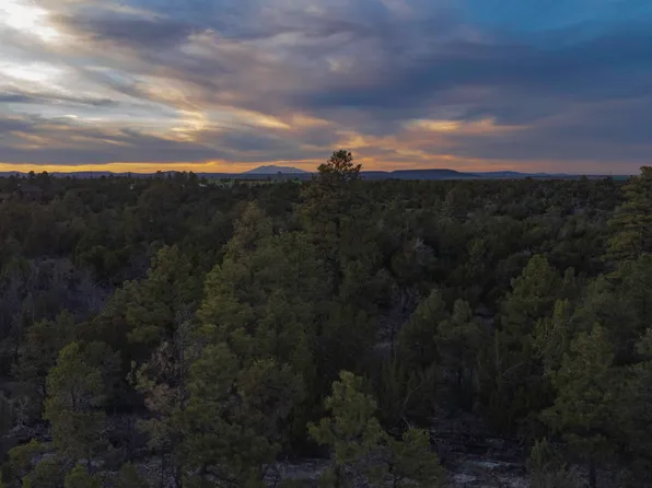 3633 SUNSET RIDGE Loop #166, Happy Jack, AZ 86024