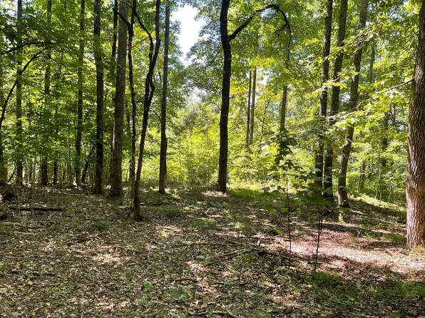 11B Grandview Dr, Hayesville, NC 28904