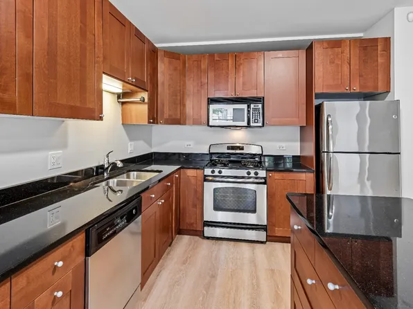2510 N Willetts Ct, Chicago, IL