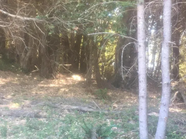 8 Mink Dr, Whitethorn, CA 95589