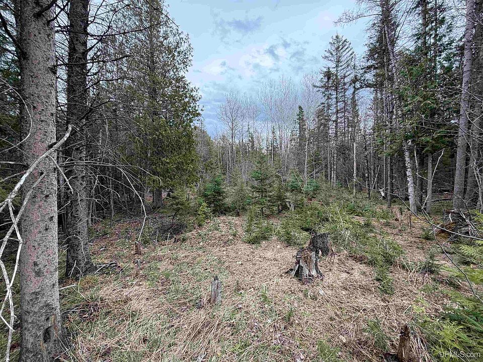 1st image of Old Us Highway 41 Rd