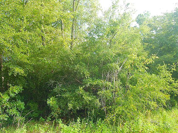 2nd image of 505 SW Heathridge Dr