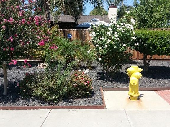 4th image of 563 Yosemite Dr
