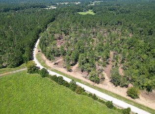 Vick Spring Rd, New Waverly, TX 77358