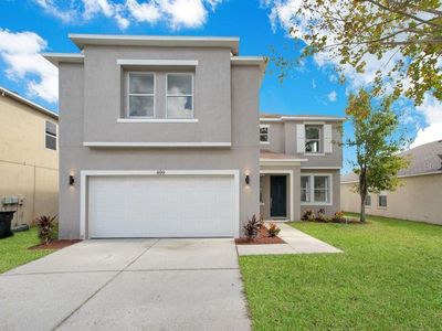 409 Vine Cliff St, Ruskin, FL, 33570