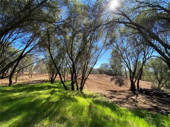 3798 Brodiea Ln #B, Mariposa, CA 95338