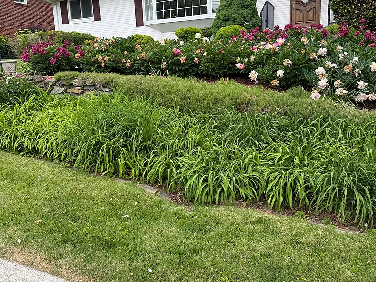 5841 Osceola Rd — Photo 37