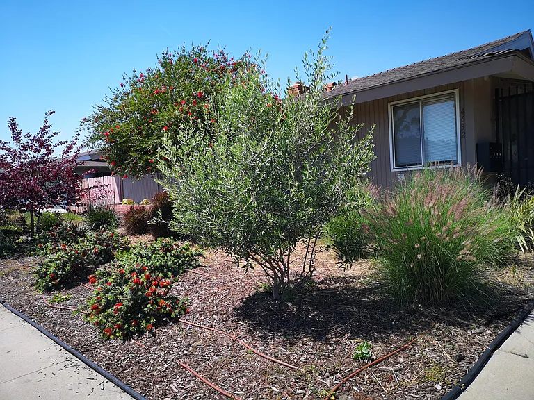 4632 Canoga St — Photo 1