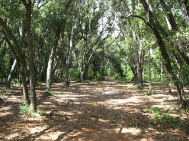 1st image of 21561 Cotton Creek Dr