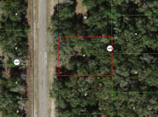 11465 N Clare Ter LOT 9, Dunnellon, FL 34434