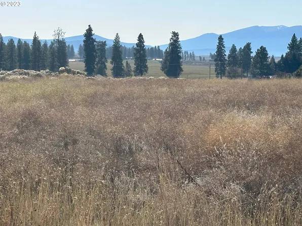 Deerview Ct Lot 44, Chiloquin, OR 97624