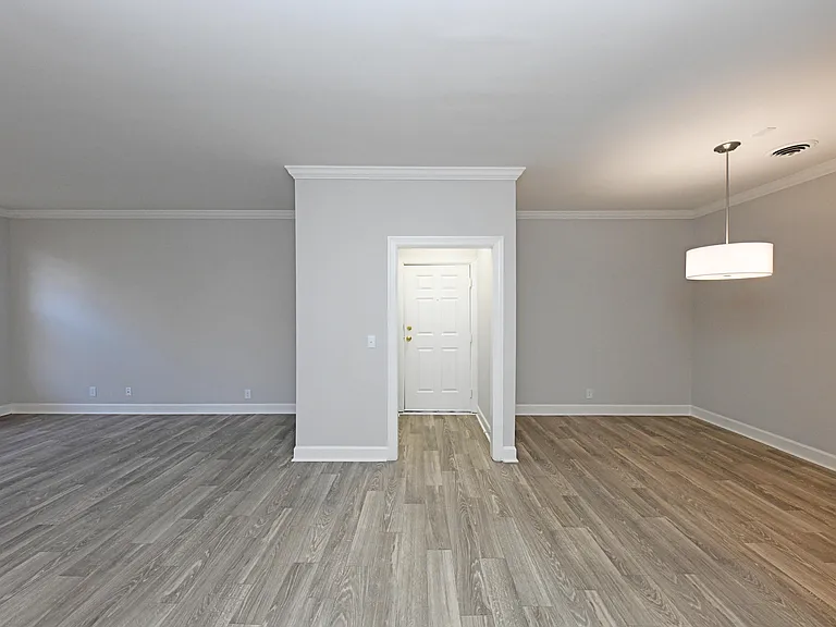 Entry Way + Hardwood Style Flooring