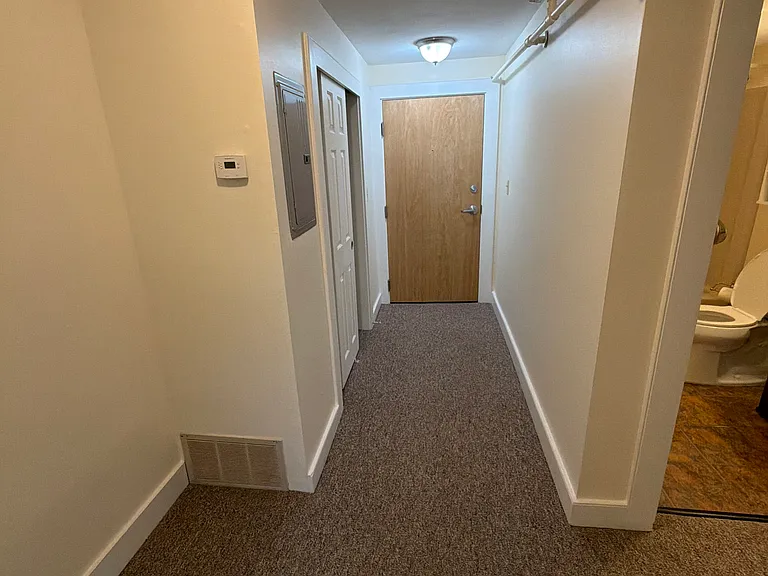 Similar apartment entrance with large coat closet