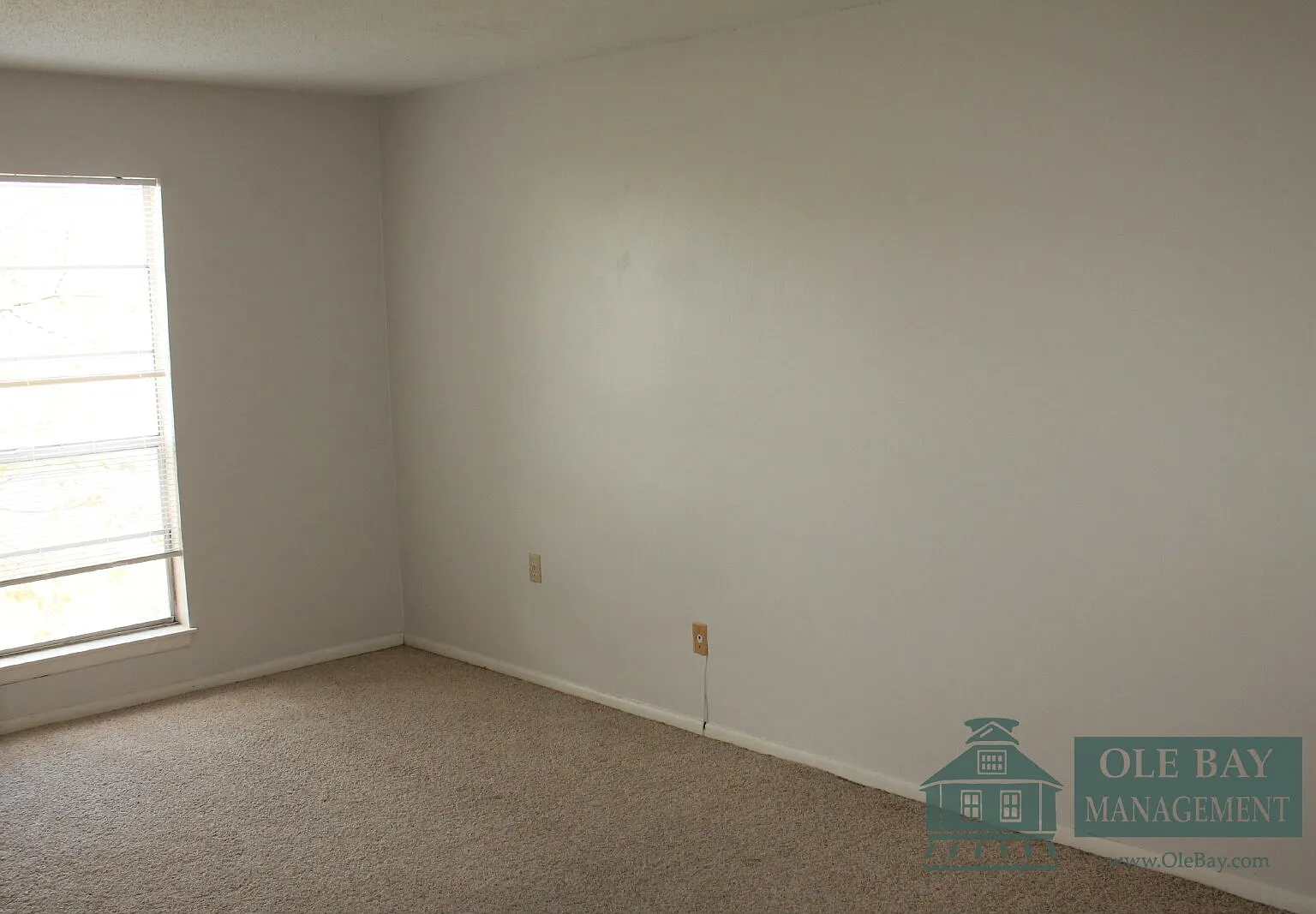 1 bed, 1.0 bath, $775 — Photo 4