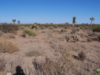2107 Old Woman Springs Rd, Yucca Valley, CA, 92284