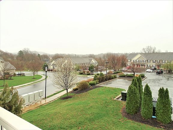 View from Deck