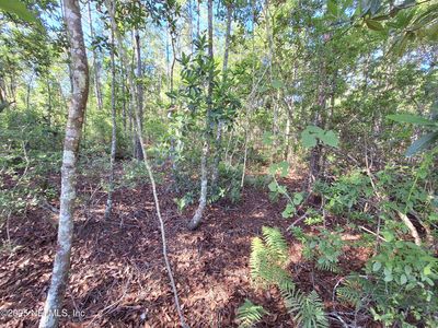 0 E ALACHUA Street, Palatka, FL, 32177