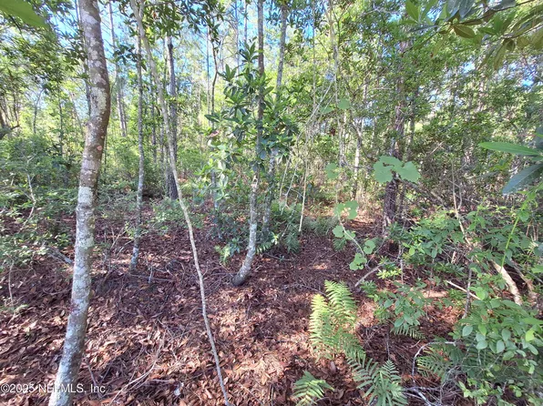 0 E ALACHUA Street, Palatka, FL 32177