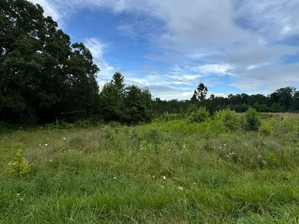 0 Milam Rd, Finger, TN 38334