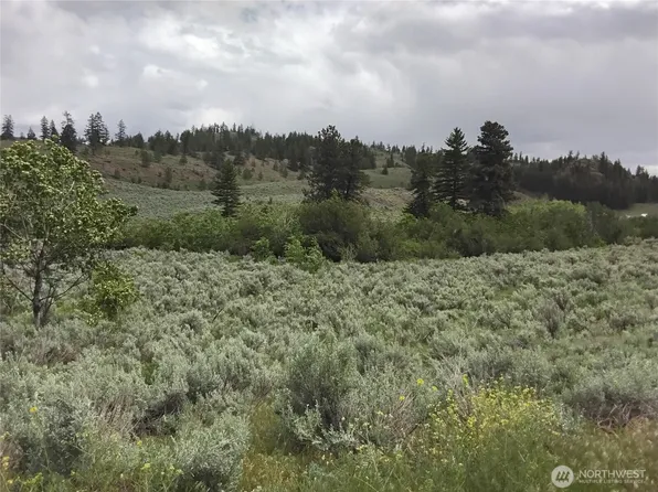 44 Palmer Mountain Road, Oroville, WA 98844