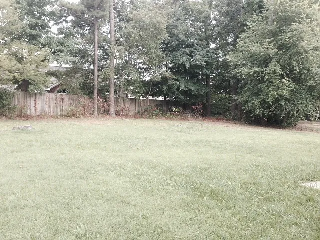 Back Yard_09242020