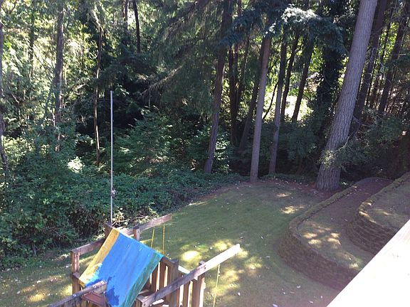 Backyard and play set