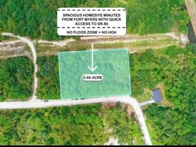 4235 E 31st ST, Alva, FL, 33920