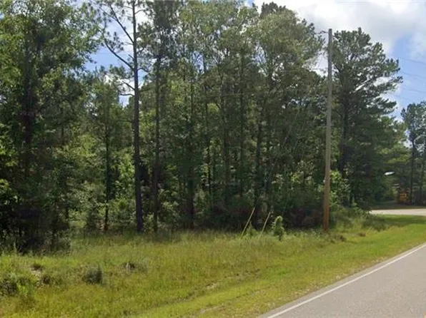 0 John Johnston Rd, Mc Intosh, AL 36553