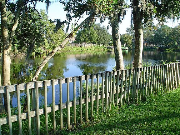 Backyard Pond View