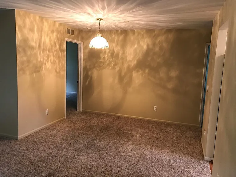 42825 Lilley Pointe Dr — Photo 12